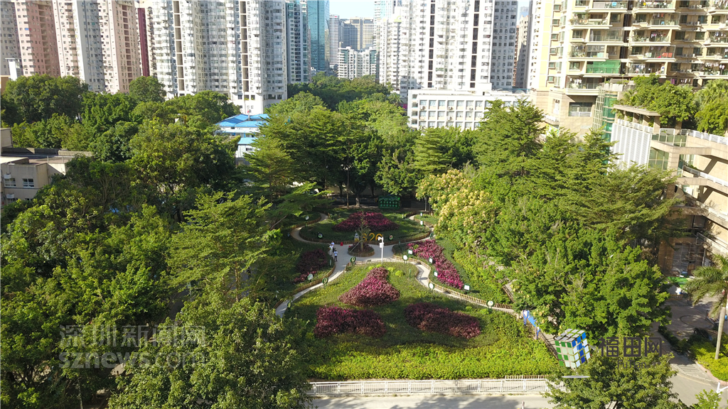  鵬城眼|我的實事我做主！5年辦理“民生微實事”6774件}