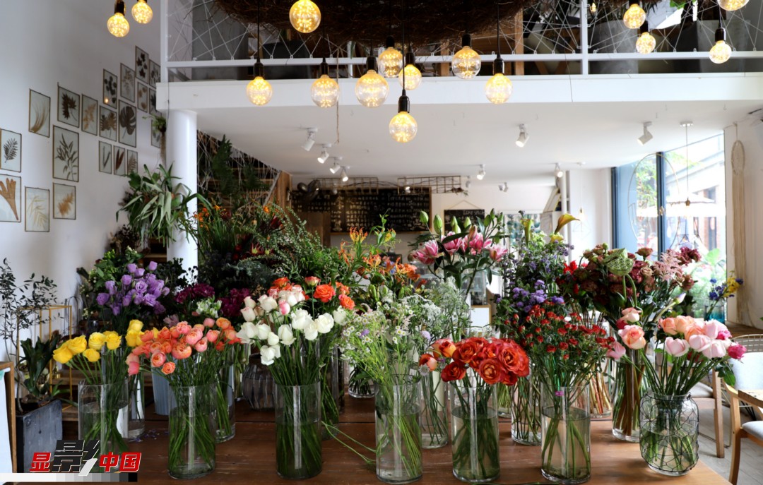 從決定從事鮮花這個(gè)行業(yè)以來，王黎媛花了很多的時(shí)間和精力去學(xué)習(xí)花藝，不斷提高自己的專業(yè)水平。而在小店的選址、裝修和布置方面，王黎媛同樣花費(fèi)了不少心思，“希望我的小店和鮮花一樣，是有溫度的、鮮活的?！绷硗猓⌒〉幕ǖ暌膊刂蟠蟮膲?mèng)想，“我們?cè)颇硝r花很多，但真正做成品牌的卻很少，這是非?？上У?。我希望把我的店做成品牌，不光能扎根昆明，還能落地到云南的其他城市，甚至省外的城市?！眻D為王黎媛的花店一角。新華網(wǎng) 周亞平/攝 念新洪/文
