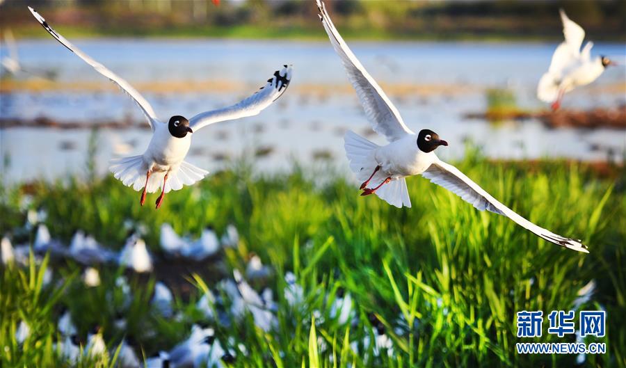 1126044729_15906471766981n.jpg 1126044729_15906471766981n.jpg